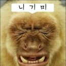 라빼이