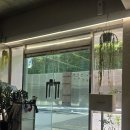 모맨즈헤어 | [부산/부산대] 닷닷닷 부산대점 맨즈헤어 내돈내산 후기