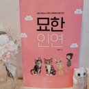 묘한인연 이미지