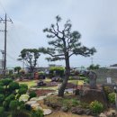 종달스토리 이미지