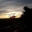 송이밸리자연휴양림 이미지