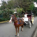 인형과만남 이미지