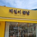 숭실대 꽃집 '매일이 꽃날'에서 한 송이 꽃 구매 후기