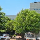 무전동주민자치센터 이미지