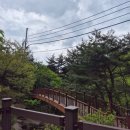 돌산새댁