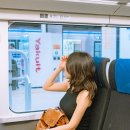 메트로 | 일본 도쿄 스카이라이너 메트로패스 만족 후기 나리타공항에서 우에노역