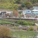 호애농장 이미지