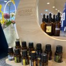 사파동100 이미지