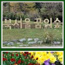 북서울 숲에서 2024.10.23.(2) 이미지