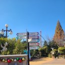 (주)한국비티비 대구지점 | 경주 월드 평일 후기 어트랙션 공포도, 멀미도