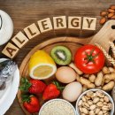 알레르기 이미지