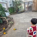 하귀의원 이미지