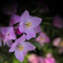 매탄공원 이미지