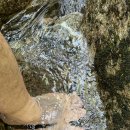 윗사기막 이미지