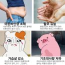 핫점핑 다이어트