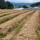 선배농장 이미지