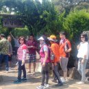 (주)맞춤투어 이미지