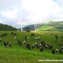 삼청목장 이미지