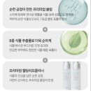 우리윤약국 | 뿌리는 여성청결제 Y존 질 유산균 멜팅리프클리너 사용 후기