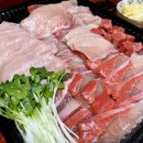 광희동물병원 이미지