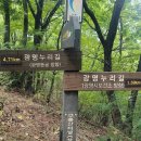 배움지도사 양성교육 이미지