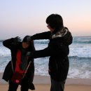 정동진놀자 이미지