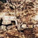 문안산성 이미지