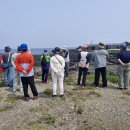 하르방애월 민박 이미지