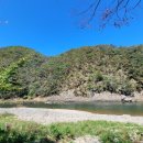 미산가족오토캠핑장 이미지