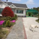 꽃향기민박 이미지