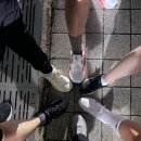 비버피시방 이미지