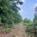 고흥숲속의바다 이미지