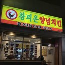 참피온양념치킨 | 강릉 버스터미널역 근처 포장 맛집 오리날개튀김 최초 참피온양념치킨