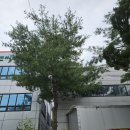 산업로92번길 이미지