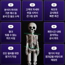 ＜한국직업능력개발원 인증＞ 에듀핌체형분석평가사 자격증과정 2월과정 접수중 이미지