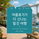 월미공원 서문매점 화장실 | [오늘의 큐레이션] 여름휴가가 더 신나는 탈 것 여행 | 아이와 떠나는 전국 이색 탈 것 5