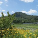 용마보건진료소 이미지