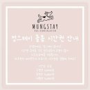 진천유치원 | [충북혁신도시 애견유치원] 멍스테이 / 애견호텔 추천