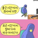 7월 4주차 : 너는 무더운 태양밑 더위를 이겨내는 풀잎 하나