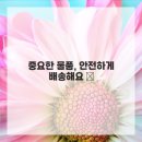 개인화물249 네이버블로그