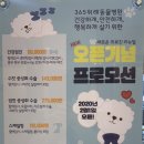 365동물병원위례점 이미지