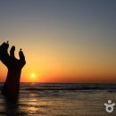 영순이네 이미지