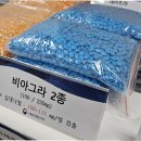 불로초교 이미지