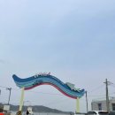 9월3일 화요일 장봉도.트레킹 운서역10시 주민등록증 필이지참 이미지