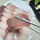 최강회포차 이미지