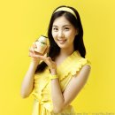 갤러리.서현 티스토리