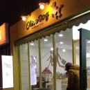 올리브독 이미지