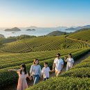 가족 여행객이 찾는 보성 1박 2일 추천 여행 루트 이미지