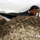 수옥경로당 이미지