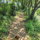 풀스테이스테이펫홍천 이미지